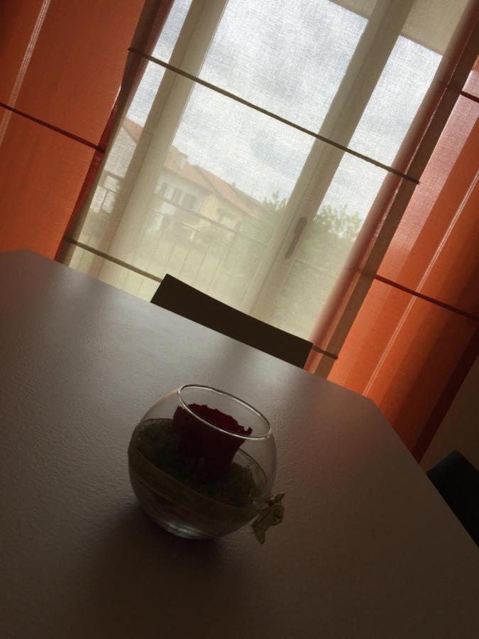 Appartamento Giada Giavera del Montello Zewnętrze zdjęcie